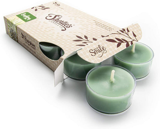 Bayberry Fir Candles (Pack of 6) - AllWhatYouDesire